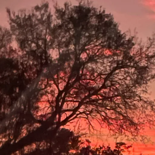 creator Yuki #3452's avatar