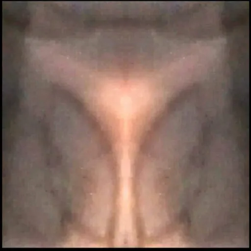 creator Luc Jenn's avatar