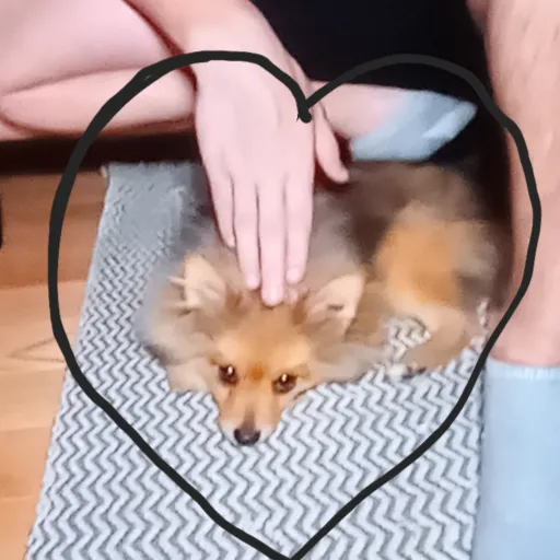 creator libertyhale2014's avatar