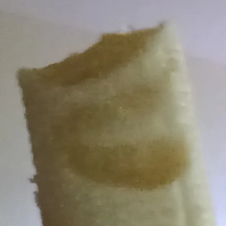 creator kaiden boison's avatar