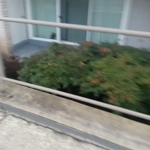 creator Snowflake......bro's avatar