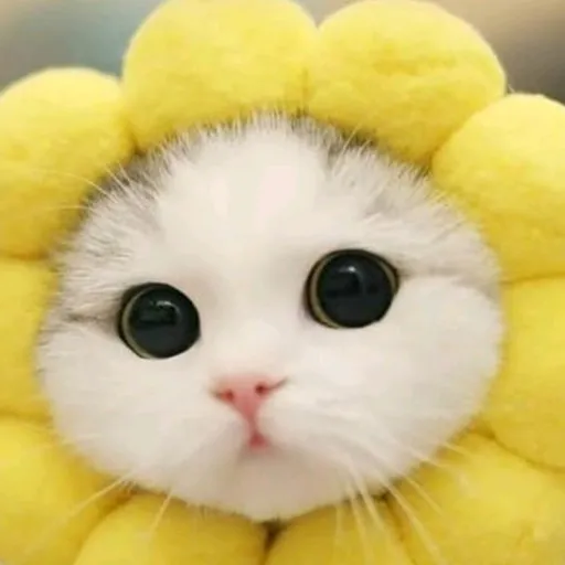 creator MakeHappyKlee's avatar