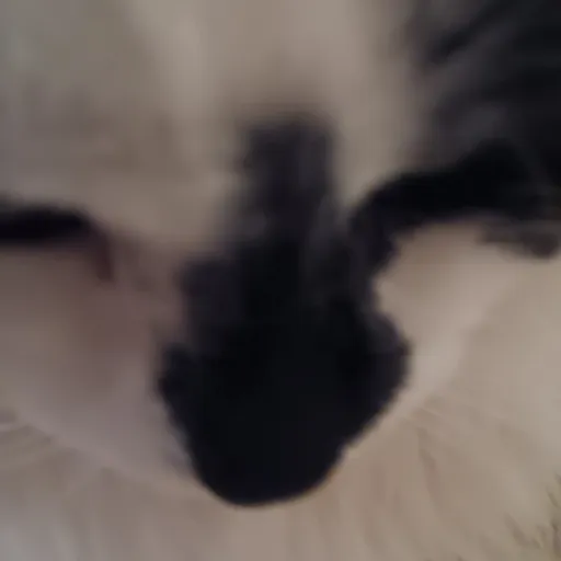 creator m_is_inlove111's avatar