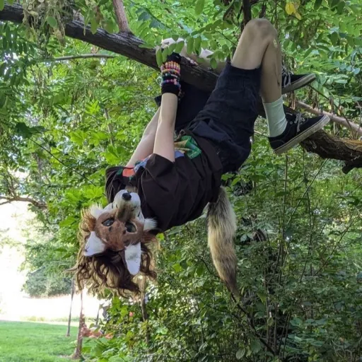 creator XxWildCoyotexX's avatar