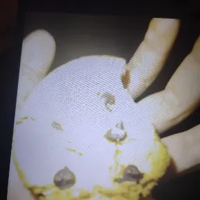 creator ✩who is you? ✩'s avatar