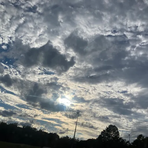 creator Iluvthesky❤️🙈's avatar