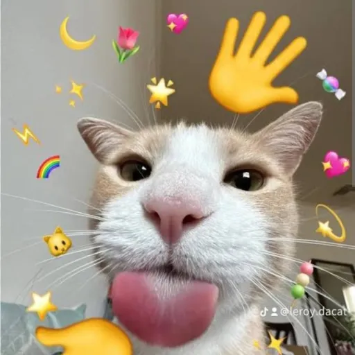 creator Cat:D's avatar