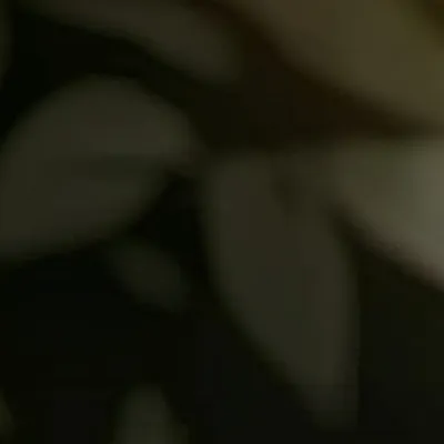 chat with ai character: Pizza face 