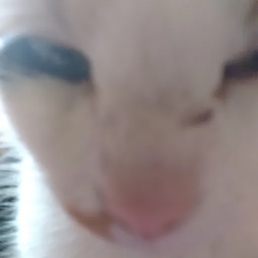 creator your weird_aunt's avatar