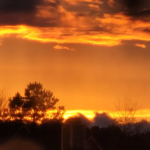 creator ◇Triptical_Cat◇'s avatar