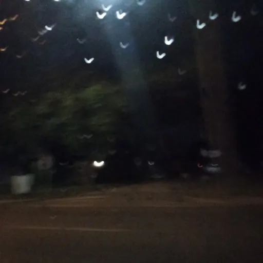 creator Talkior-BXlnHGJx's avatar