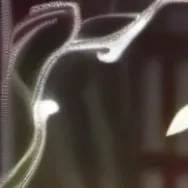 chat with ai character: atla