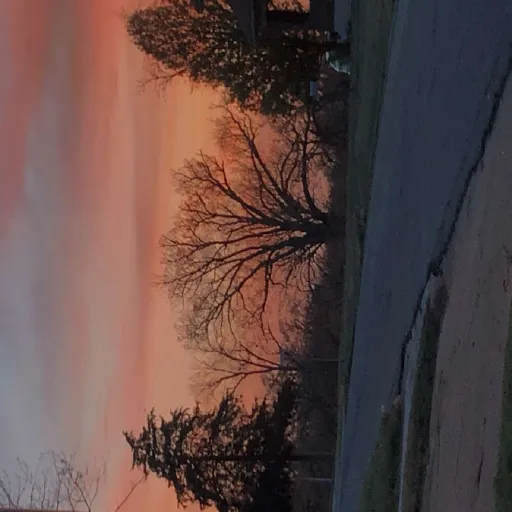 creator Hazelyourfav's avatar