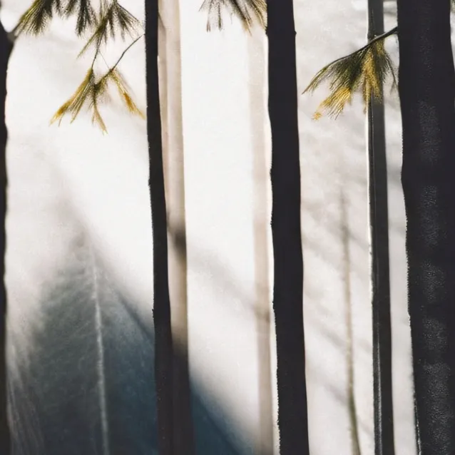 chat with ai character: Class-1A