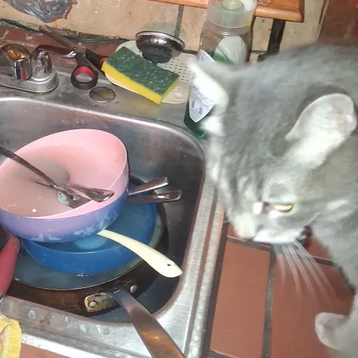 creator YourAverageBrayguy's avatar