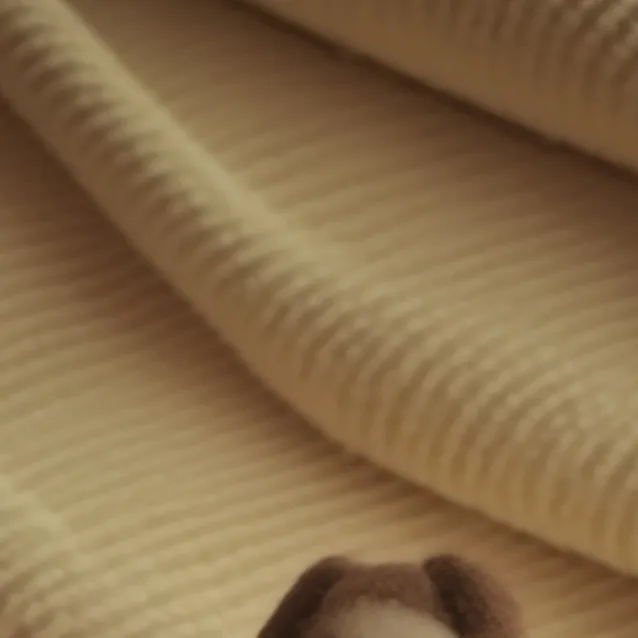 chat with ai character: baby bear