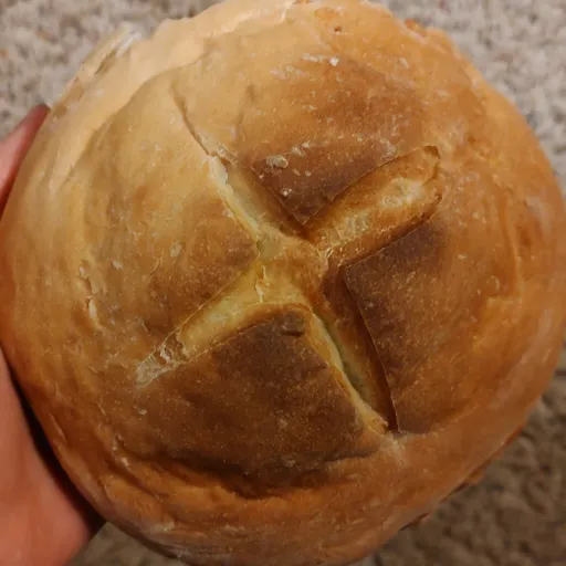 creator JAQUAVOUS's avatar