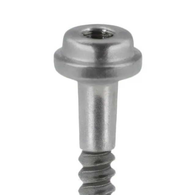 chat with ai character: screw