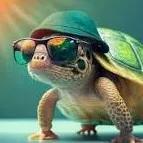 talkie's author avatar