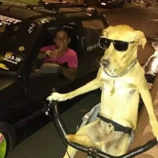 creator a ramdom guy's avatar