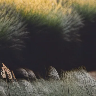 chat with ai character: GRASS💀💀💀💀💀