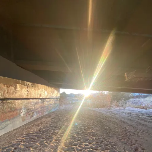 creator Trainwreak22's avatar