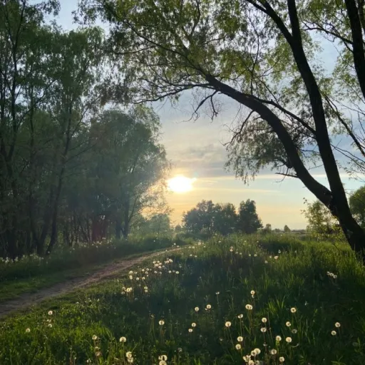 creator CANDYFISH❤️'s avatar