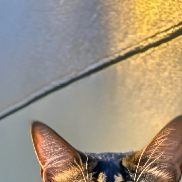 chat with ai character: clyde