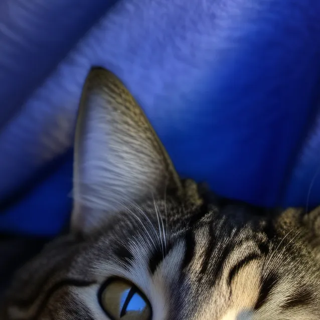 chat with ai character: james