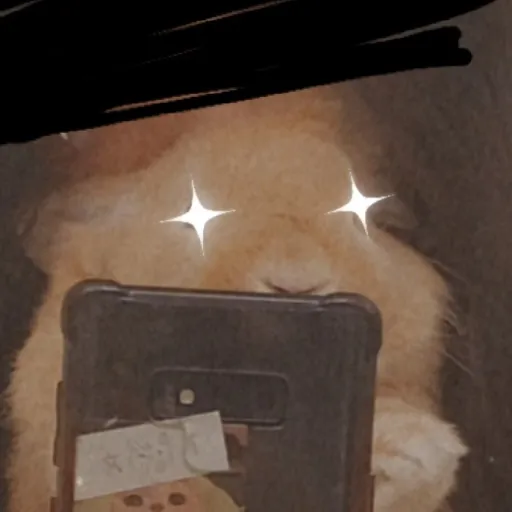 creator HomoRys's avatar