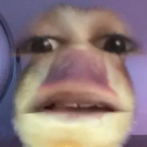 creator trin trinfgggffthj's avatar