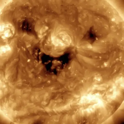 creator jhon whopper's avatar