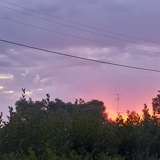 creator JacquelineNo.1's avatar