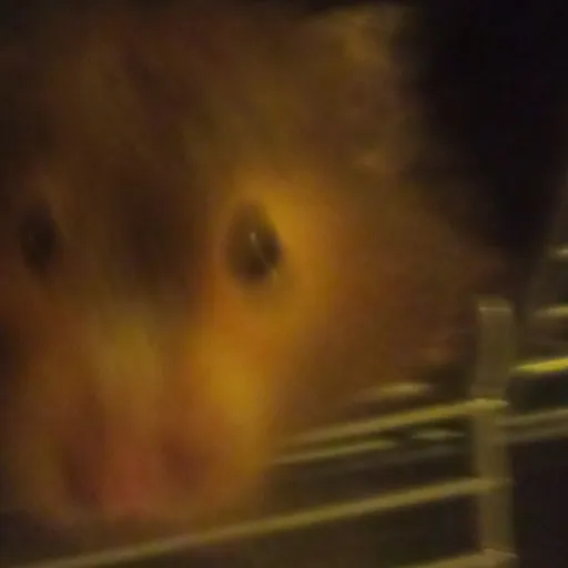 creator SmokeyTheHamster's avatar