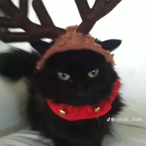 creator cleooxx._.'s avatar