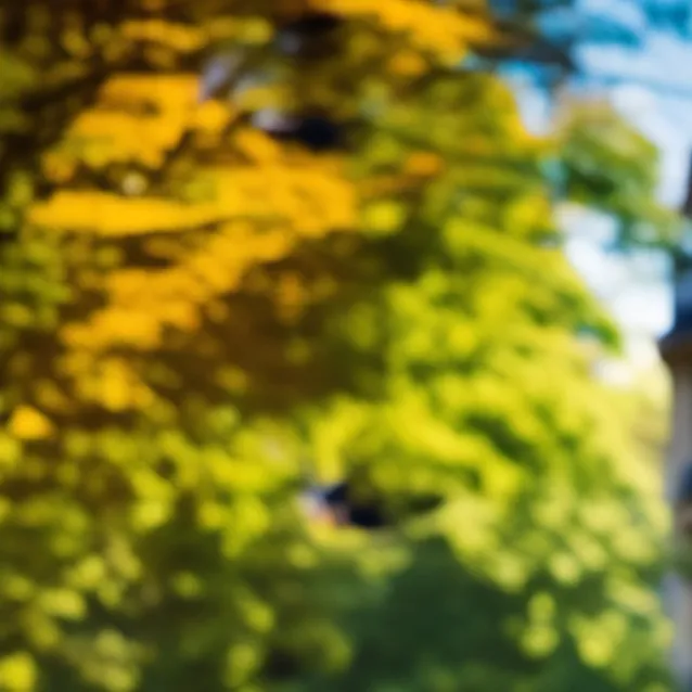 chat with ai character: frenchie 