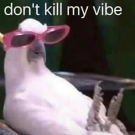 creator DontKillMyVibeSis's avatar