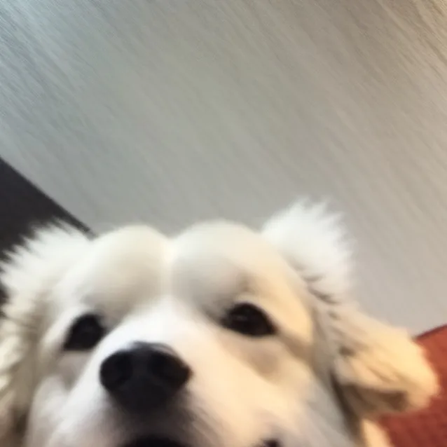 chat with ai character: William