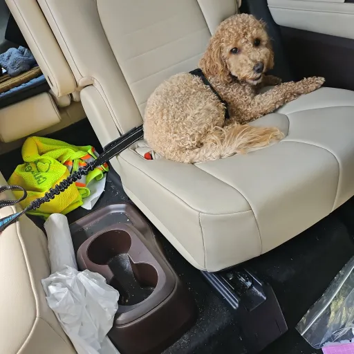 creator Talkior-Tj1u0PGf's avatar