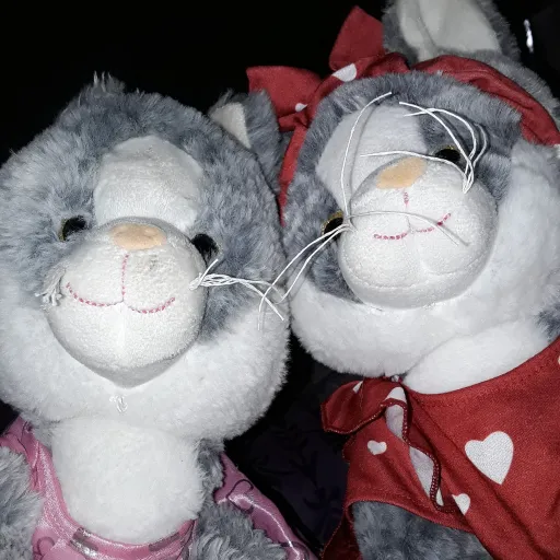 creator fellings is nice 😍's avatar