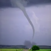 creator ropie tornado's avatar