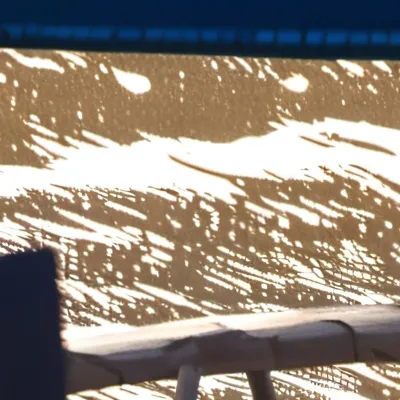 chat with ai character: Charolette