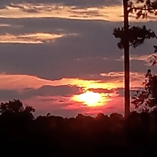 creator SomeoneWhoExist's avatar