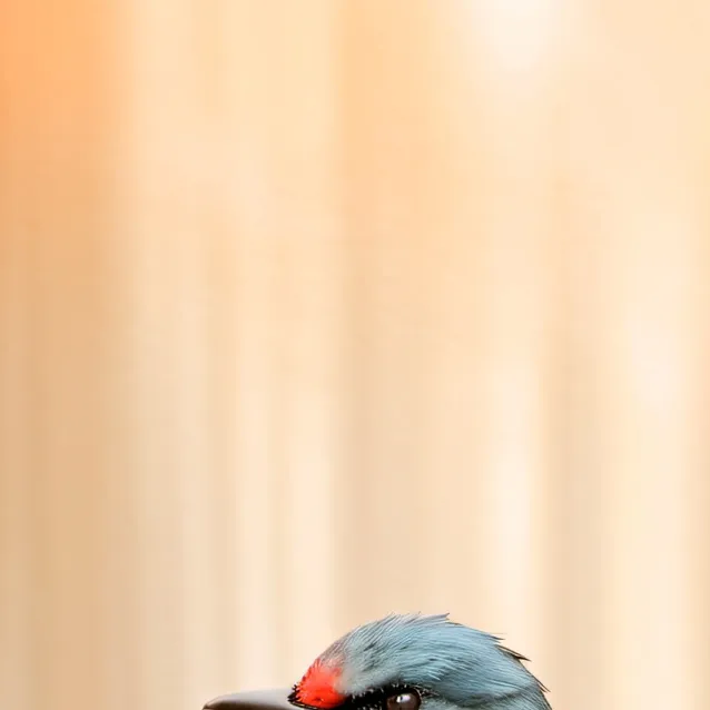 chat with ai character: ben