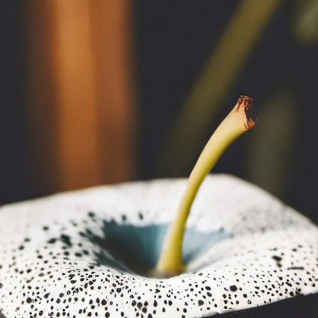 chat with ai character: talking blox fruit