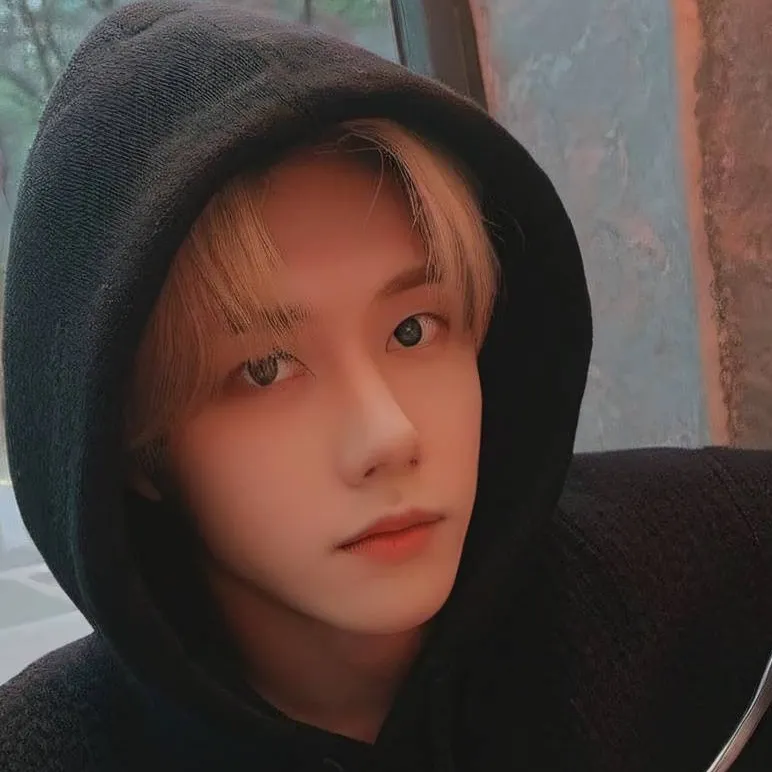 chat with ai character: Felix (skz)