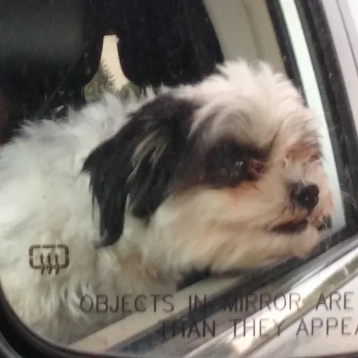 creator GasGuy3812's avatar