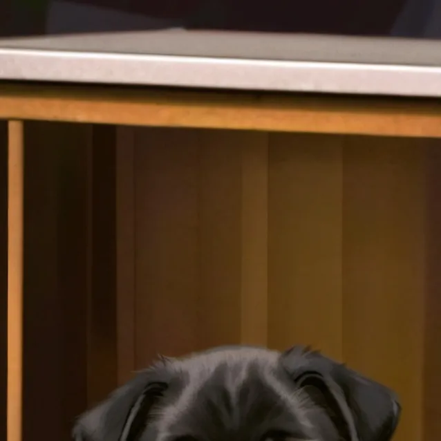 chat with ai character: ◇° hank°◇