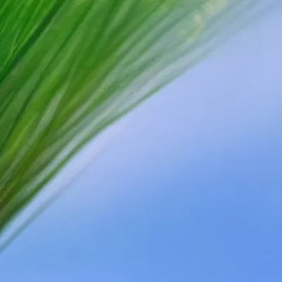 chat with ai character: Touch grass💀