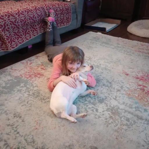 creator araila's avatar